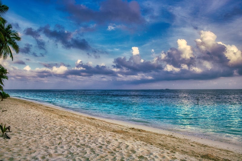 Sun-Kissed Shores